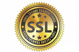 UAPAY получила SSL-сертификат высокой надежности